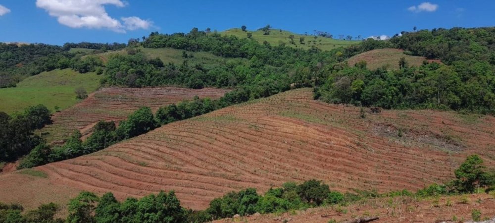 Rural - Venda - Rio Bonito - Barra do Rio Azul - RS